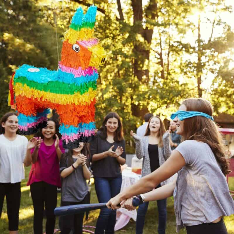 Pinata Lama